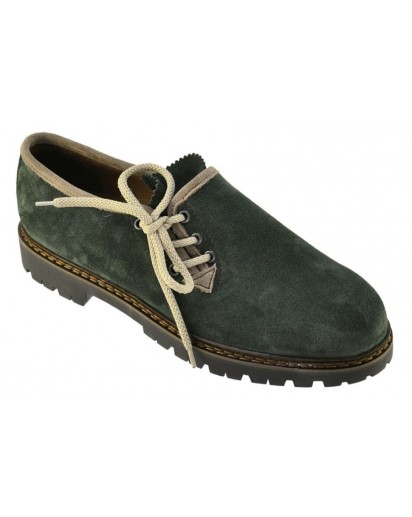 84B CAMOSCIO FORESTA BORDO CHIARO