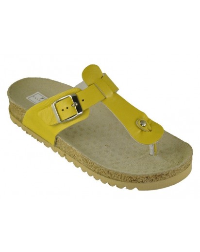 M2 INFRADITO ANATOMICO VITELLO LIMONE