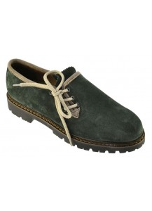 84B CAMOSCIO FORESTA BORDO CHIARO